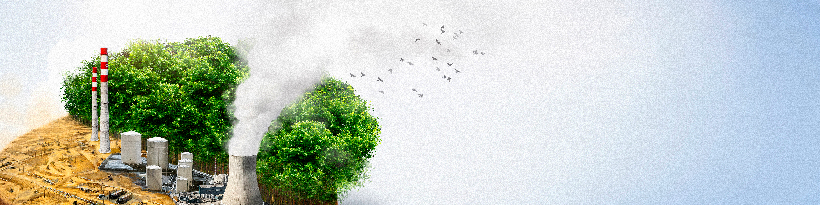 Tehlikeli Atık Taşıma